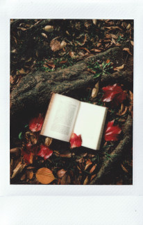 Herbst Buch