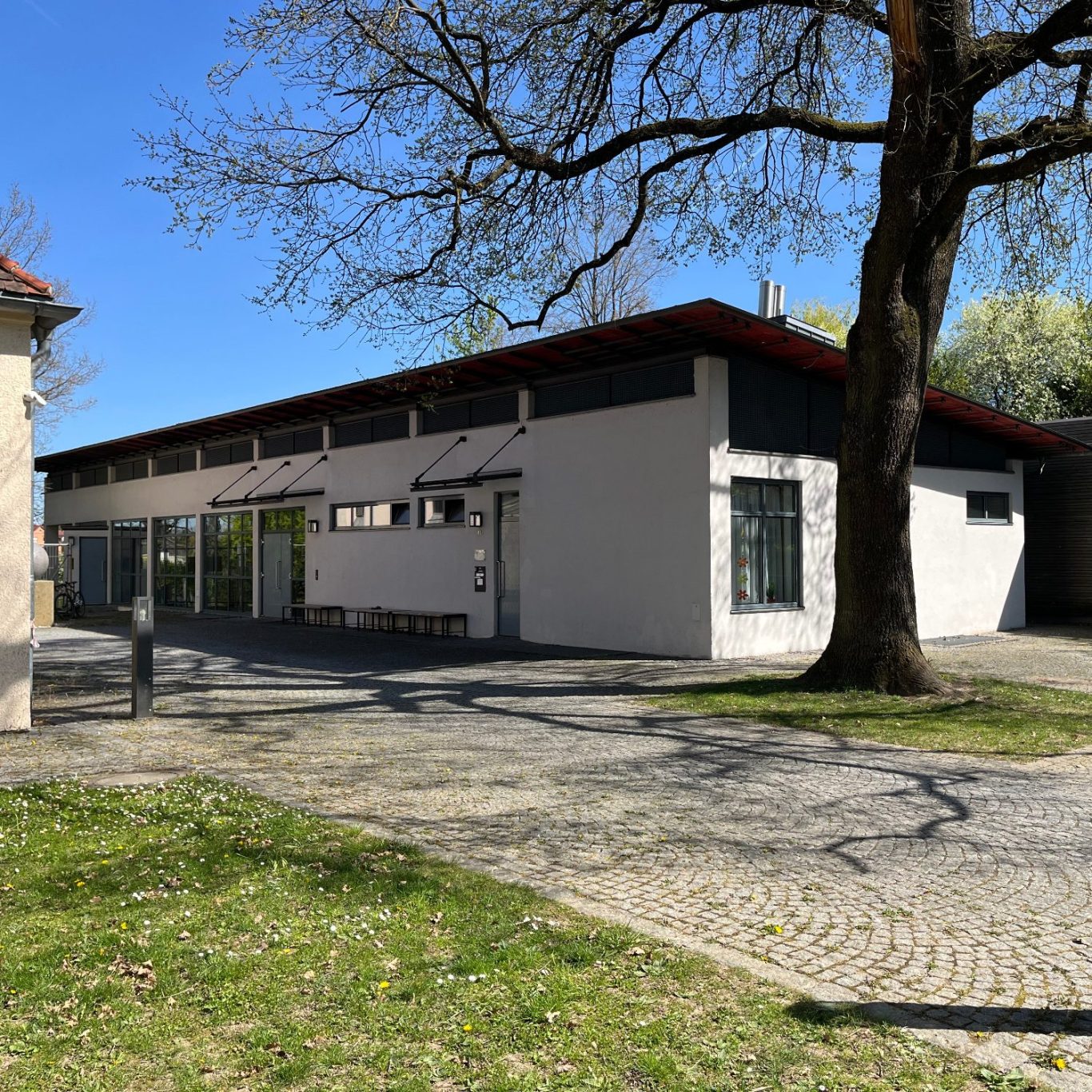 Modernes, einstöckiges Gebäude mit großen Fenstern und angrenzendem Baum.